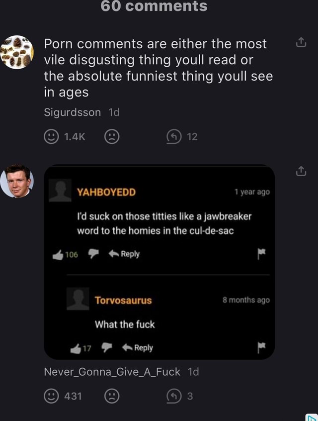 60 Comments Porn Comments Are Either The Most Vile Disgusting Thing Youll Read Or The Absolute