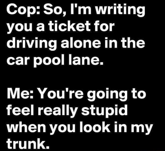 cop-so-i-m-writing-you-a-ticket-for-driving-alone-in-the-car-pool