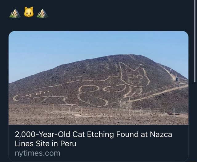 NS 2,000-Year-Old Cat Etching Found At Nazca Lines Site In Peru - IFunny