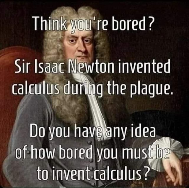 Think Youre Bored Si Isaac Newton Invented Calculus During The Plaque No You Have Any Idea Of 2301
