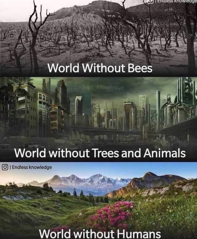 World Without Bees World without Humans World without Trees and Animals ...