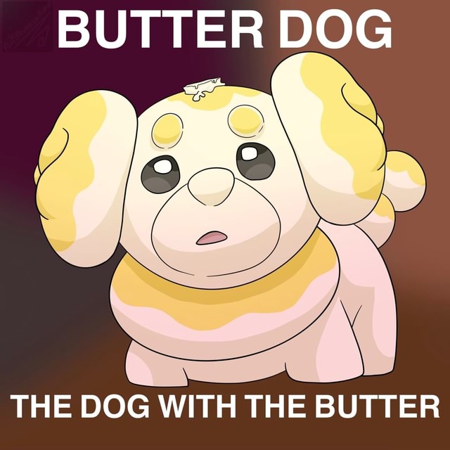 BUTTER DOG THE DOG WITH THE BUTTER iFunny