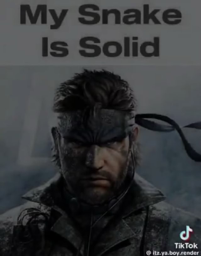 My Snake Is Solid Ifunny
