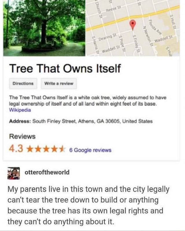 Tree That Owns Itself Directions Write A Review The Tree That Owns ...