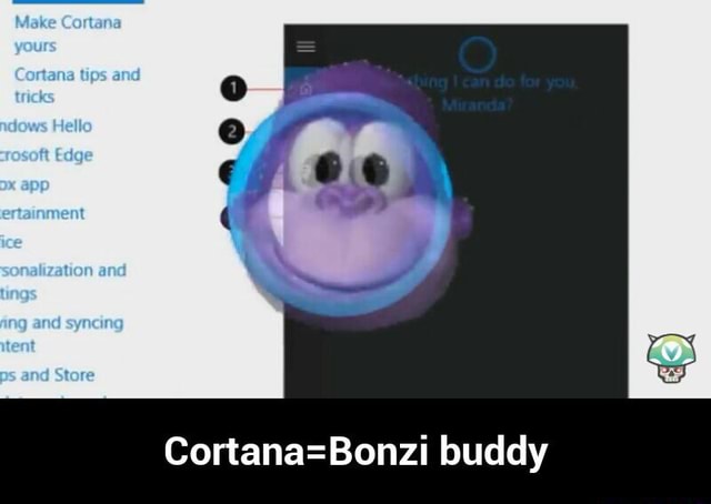 is cortana bonzi buddy