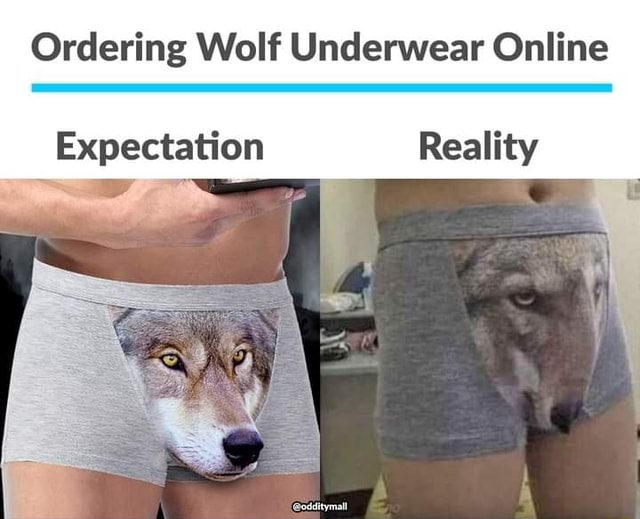 Ordering Wolf Underwear Online Expectation Reality - iFunny