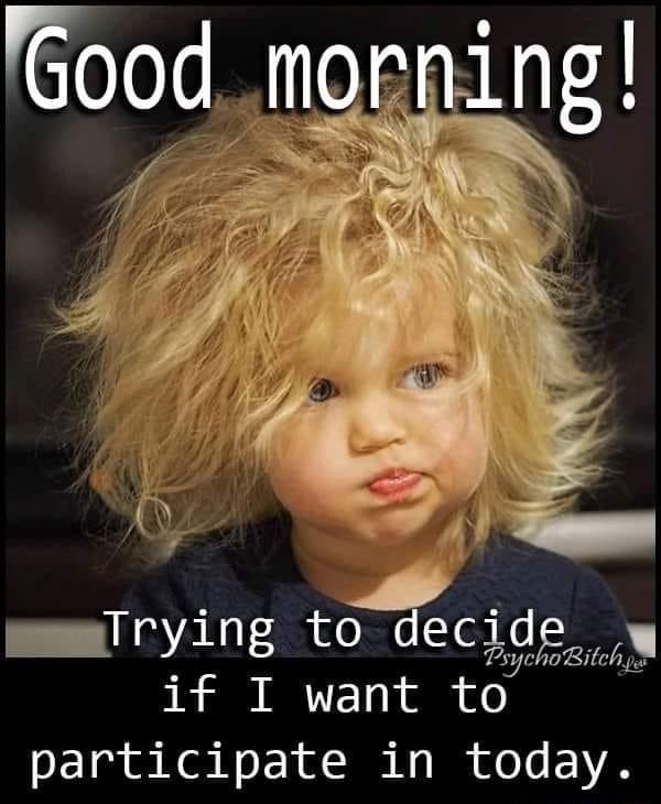 Good morning! Trying to decide if I want to participate in today. - iFunny