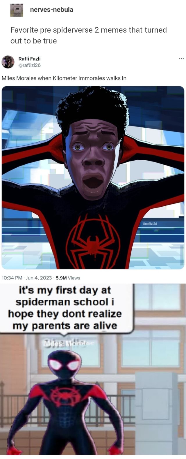 I Favorite pre spiderverse 2 memes that turned out to be true Miles ...