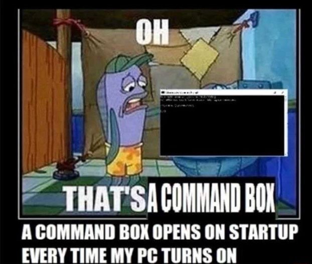 THAT COMMAND BOK A COMMAND BOX OPENS ON STARTUP EVERY TIME MY PG TURNS ...