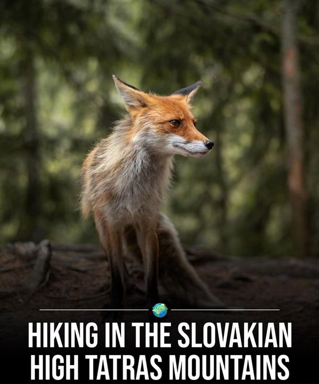 HIKING IN THE SLOVAKIAN HIGH TATRAS MOUNTAINS 