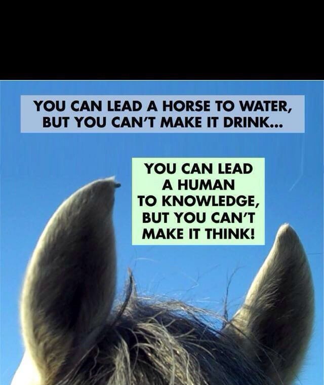 YOU CAN LEAD A HORSE TO WATER, BUT YOU CAN'T MAKE IT DRINK... YOU CAN