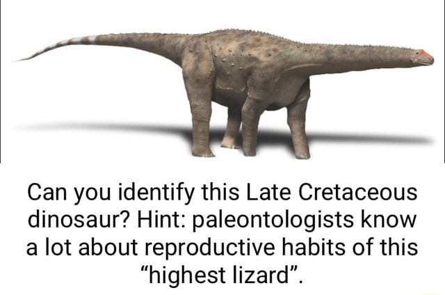 Can you identify this Late Cretaceous dinosaur? Hint: paleontologists ...