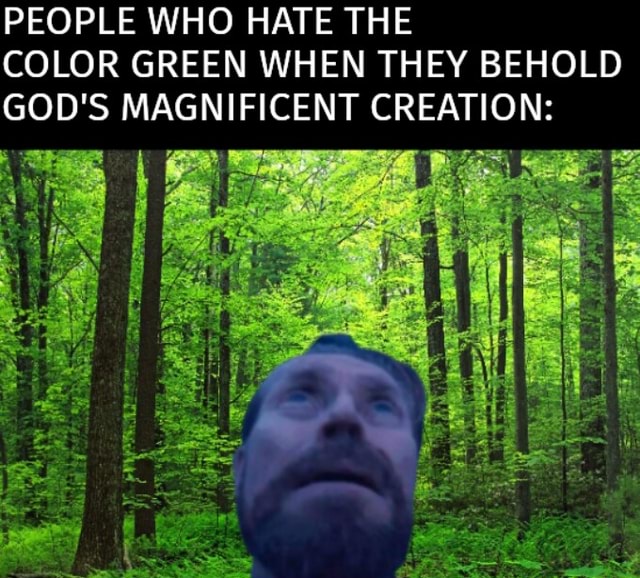 Dislike Color:green PEOPLE WHO HATE THE COLOR GREEN WHEN THEY BEHOLD GOD'S MAGNIFICENT ...