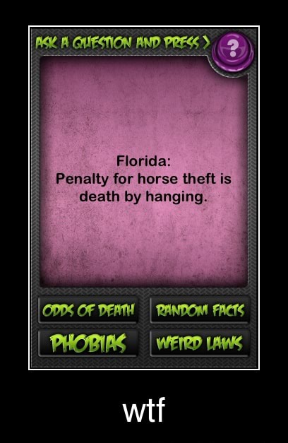 Florida Penalty For Horse Theft Is Death By Hanging Wtf Ifunny