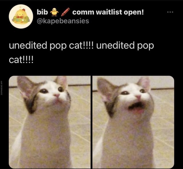 Popcat meaning
