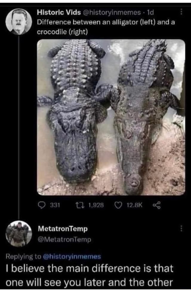 Historic Vids @historyinmemes Difference between an alligator (left ...