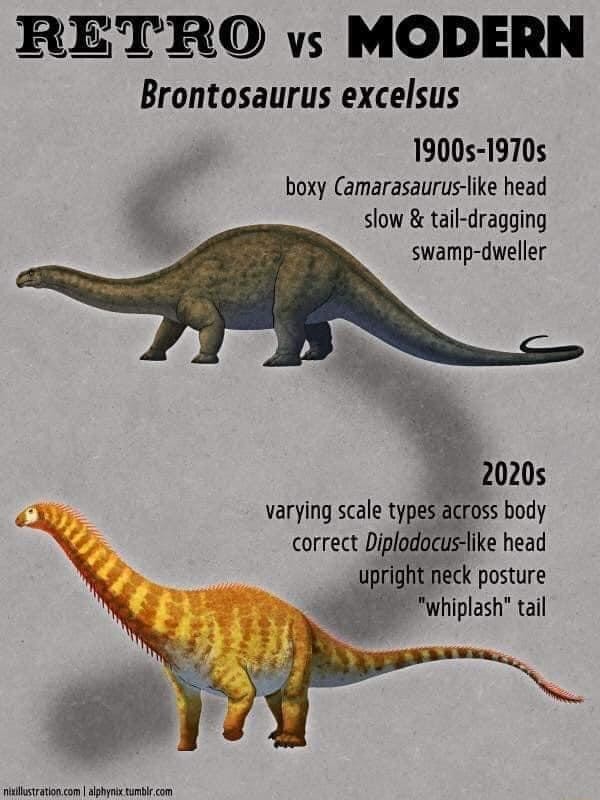 RETRO vs MODERN Brontosaurus excelsus 1900s-1970s boxy Camarasaurus ...