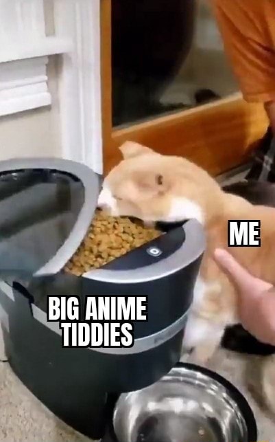 BIG ANIME TIDDIES - iFunny