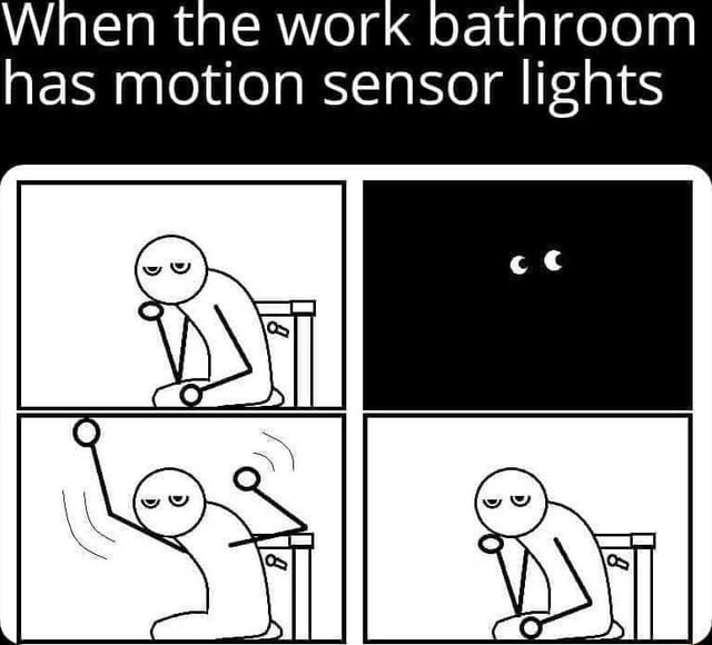 This pretty much sums up my relationship with the motion sensor light in  the bathroom at work : r/funny