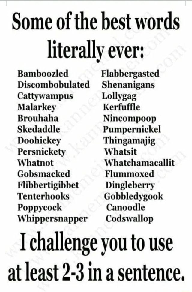 Some of the best words e literally ever Bamboozled Flabbergasted