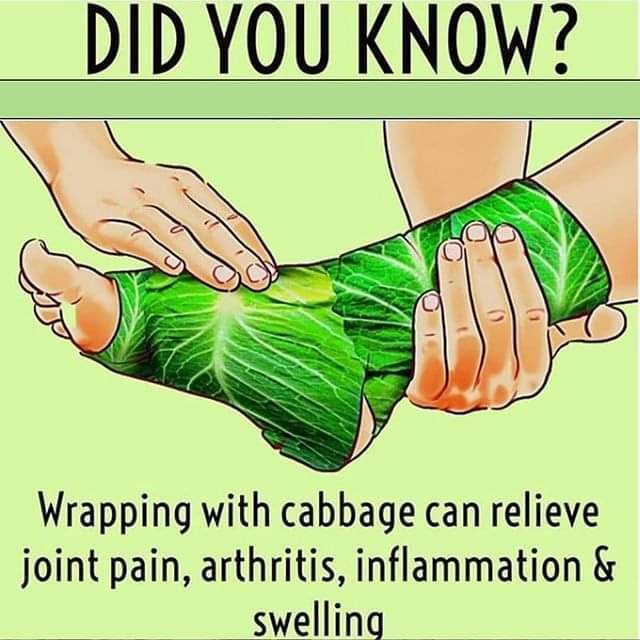 DID YOU KNOW? Wrapping with cabbage can relieve joint pain, arthritis
