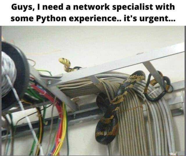 Where are the python guys? - Guys, need a network: :specialist with ...