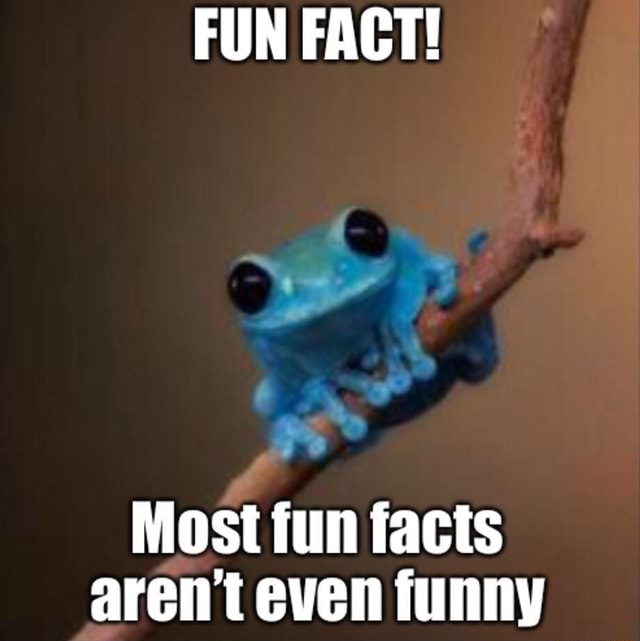 FUN FACT! Most fun facts arent even funny - iFunny