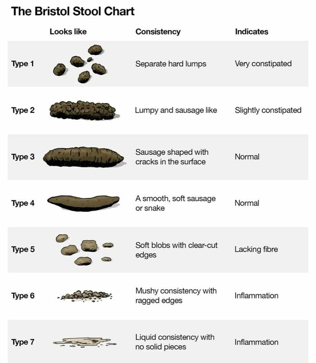 The Bristol Stool Chart Type 2 Type 3 Type 4 Type 5 Type 6 Type 7 Looks ...