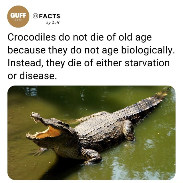 FACTS by Guff Crocodiles do not die of old age because they do not age ...