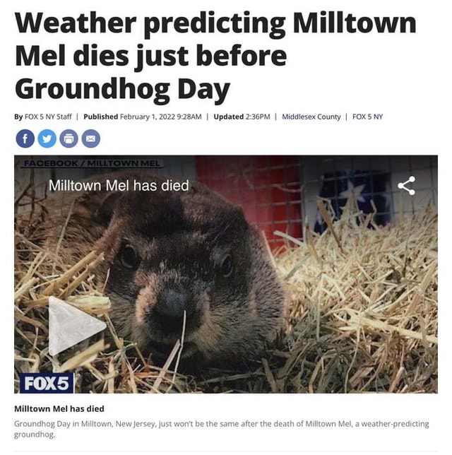 Weather predicting Milltown Mel dies just before Groundhog Day By FOXS