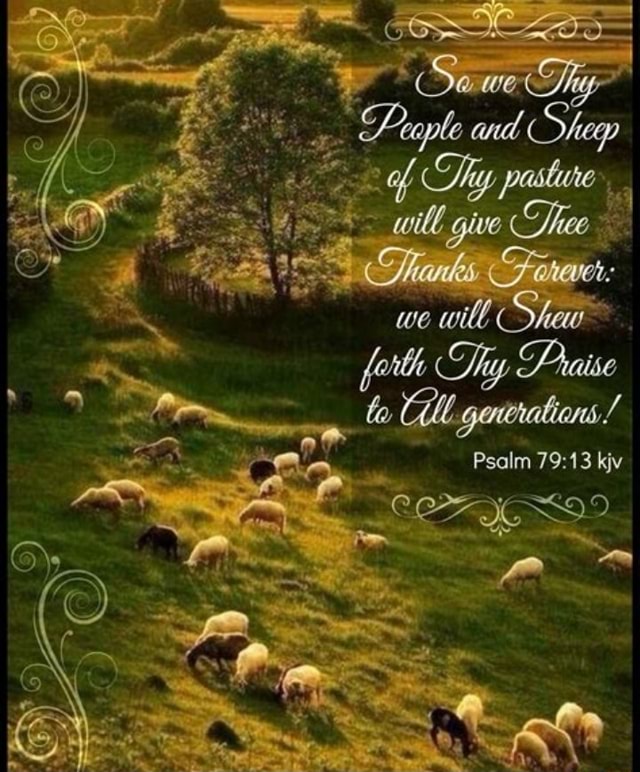 I Peaple and Shegp of wile give Shee Shew Psalm kjv - iFunny