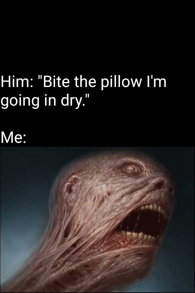 Him Bite The Pillow Im Going In Dry 