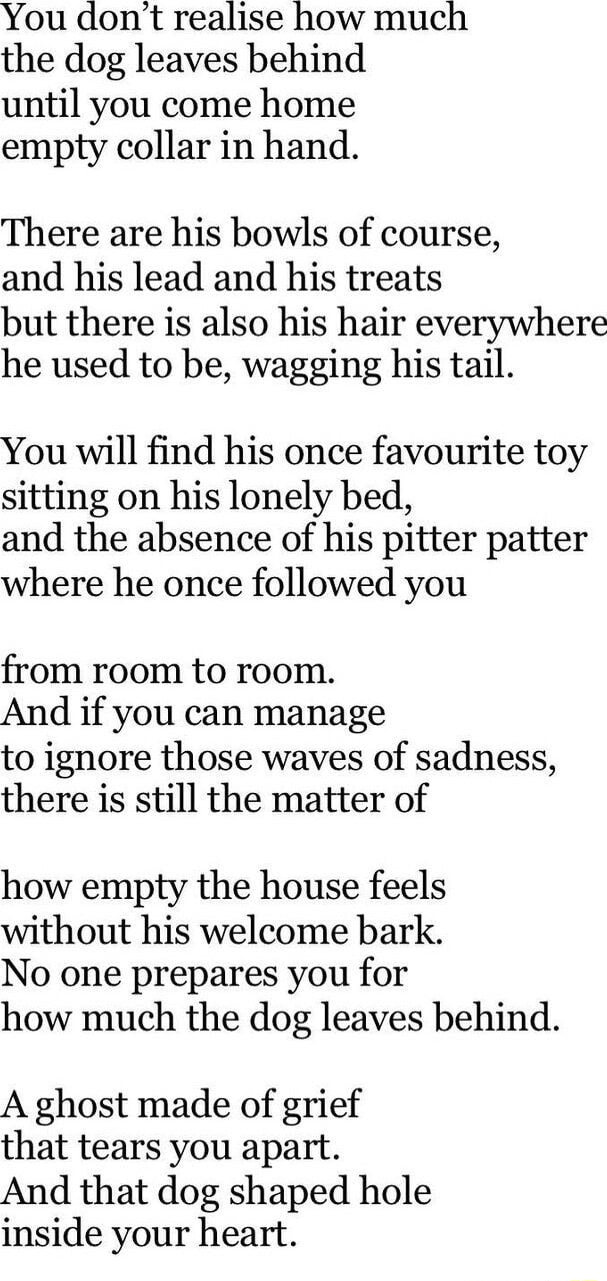 You Don T Realise How Much The Dog Leaves Behind Until You Come Home You Don T Realise How Much The Dog Leaves Behind Until You Come Home