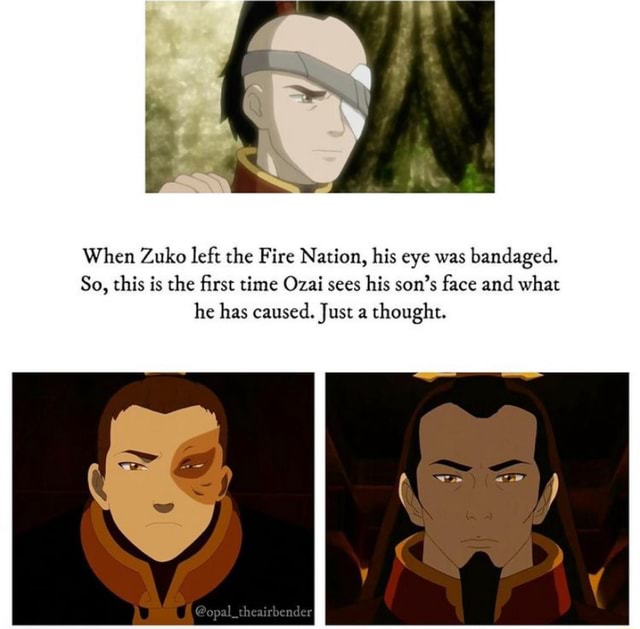 When Zuko left the Fire Nation, his eye was bandaged. So, this is the ...