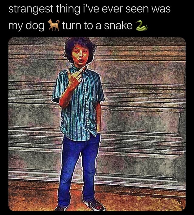 Strangest thing i've ever seen was my dog “H turn to a snake L) iFunny