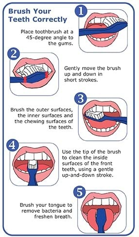 Brush Your Teeth Correctly Place toothbrush at 