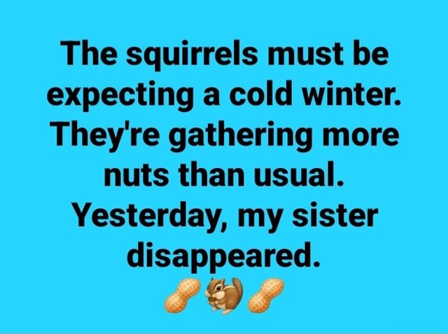 The squirrels must be expecting a cold winter. They're gathering more ...