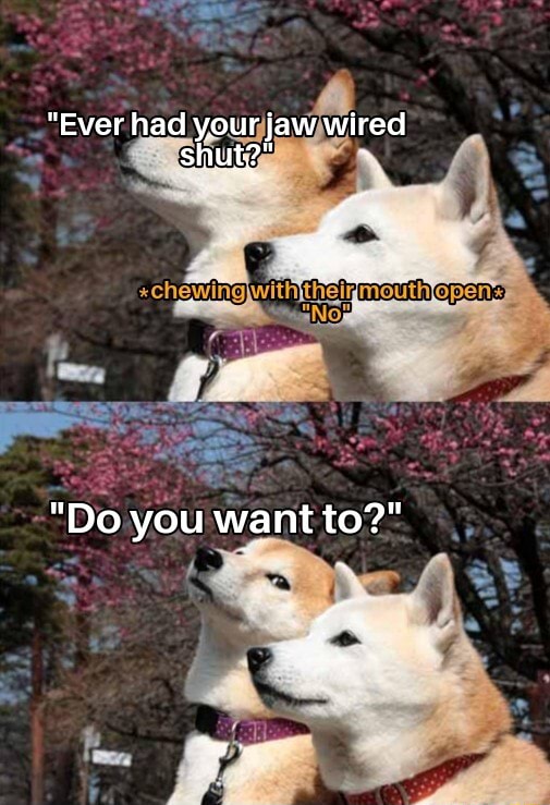 "Ever had your jaw wired shut?" "Do you want to?" iFunny