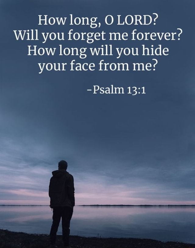 how-long-o-lord-will-you-forget-me-forever-how-long-will-you-hide