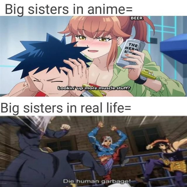 Big sisters in anime= \ \ Big sisters in real life= Dig human garbage ...