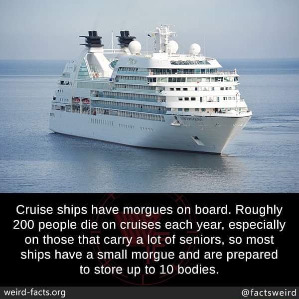Cruise ships have on board. Roughly 200 people die on cruises each year, especially on