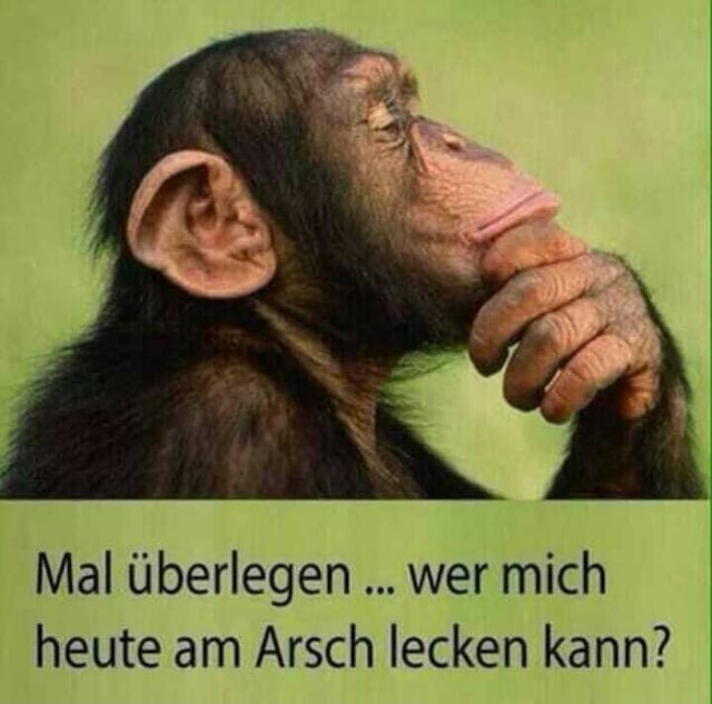 Mal überlegen wer mich heute am Arsch lecken kann? Keke
