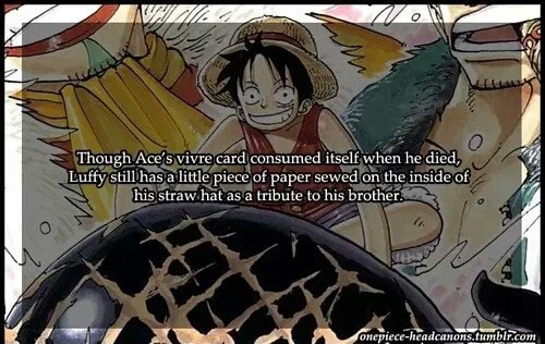 X Ugh Ace S Vivre Card Consumed Heel Luffy Stillihas A Little Piece Of Paper Sewed On The Inside Of Esom Is Straw Hat Asia Tribute To His Brother Ifunny