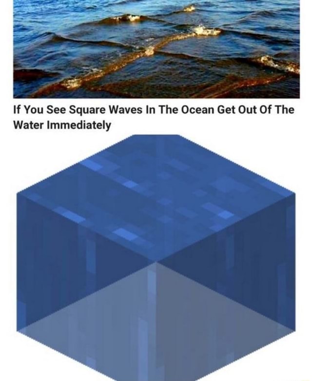 if-you-see-square-waves-in-the-ocean-get-out-of-the-water-immediately