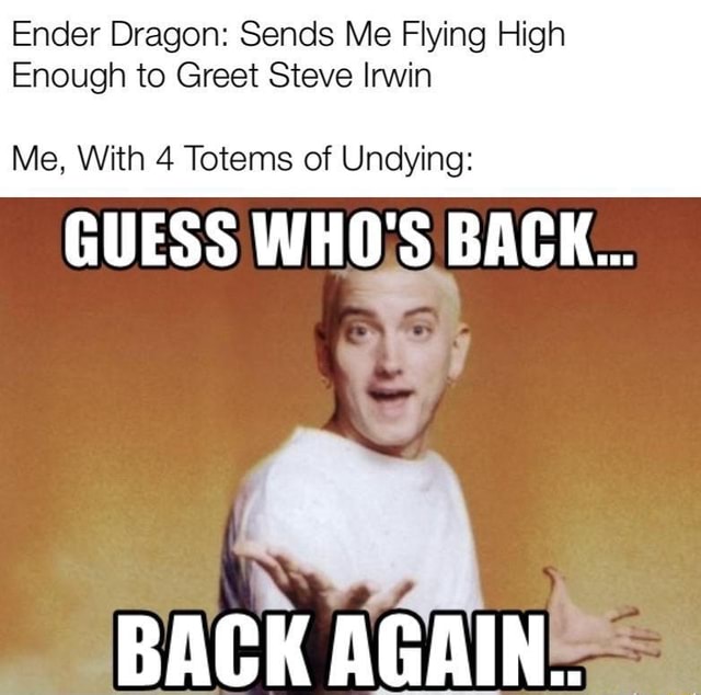 Ender Dragon Sends Me Flying High Enough To Greet Steve Irwin Me With 4 Totems Of Undying Guess Who S Back Pack Arain Ifunny