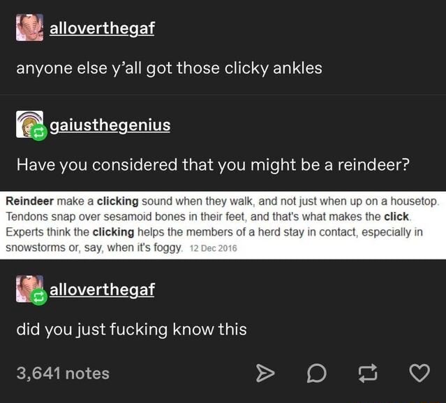 É alloverthegaf anyone else y'all got those clicky ankles Have you