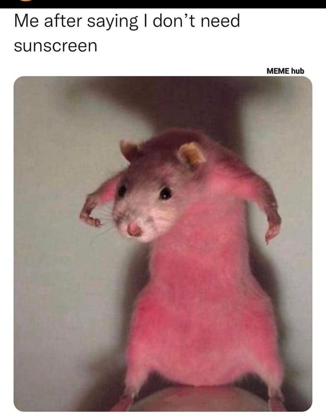 Me after saying I don't need sunscreen MEME hub iFunny