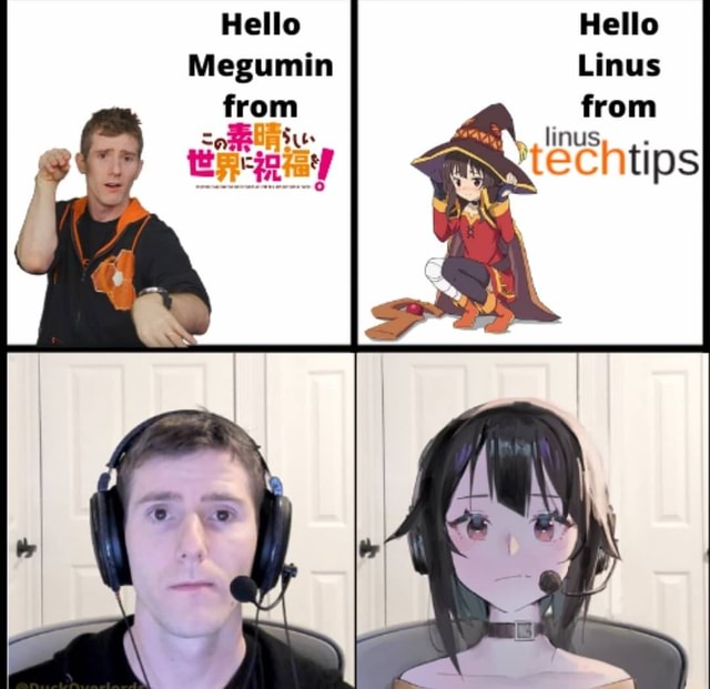 Megumin Hello Linus from linus techtips - iFunny