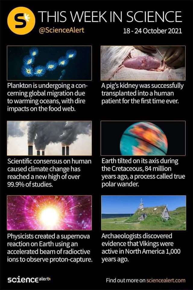 ScienceAlert Plankton is undergoing a con cerning global migration due to warming oceans, with