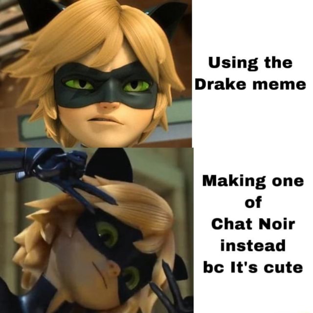 Using The Drake Meme Making One Of Chat Noir Instead It S Cute